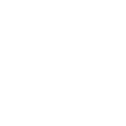 D1 Ventures Logo