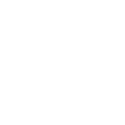 D1 Ventures Logo